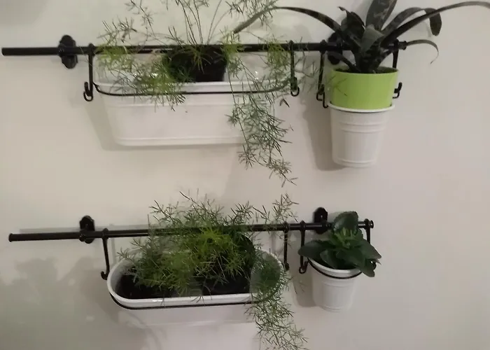 Seventh Continent Apartament